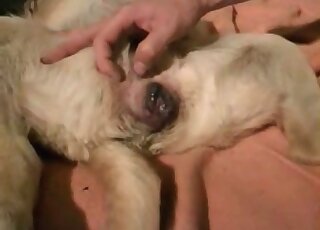 Trained beast is ready to get real dirty on camera