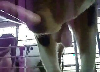 Superb activity with an immense meat rod