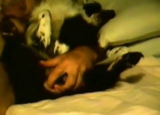 Animal gets fingered before he fucks it hard