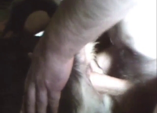 Dude wants his wife to watch him fuck a dog