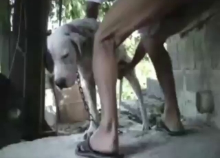 Dude with a firm ass fucked by a kinky mutt