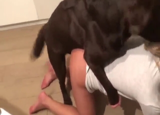Hot and horny lady fucking her black dog here