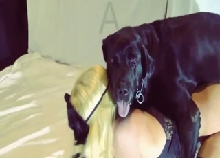 Zoophile compilation with the wildest dogs