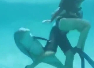 Dolphin porn movie with a sexy animal being hot