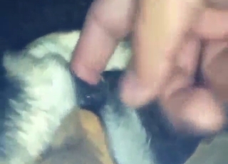 Dog fuck clip with a guy who slides in and out