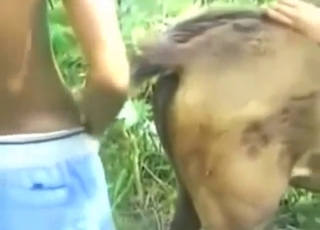 Good-looking animal gets its hole fucked silly