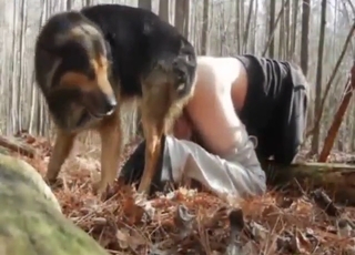 Animal gets to fuck a guy's asshole from behind