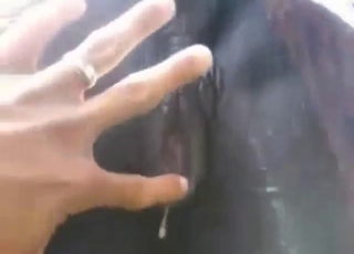 سوف يتم إدخال إصبعك بقوة في مهبل الفرس