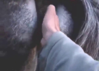 Mare pussy as awesome as this needs gape