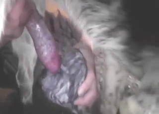 Sexy animal can do a lot with this hot boner