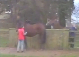 Nice cock is going to invade a big horse pussy
