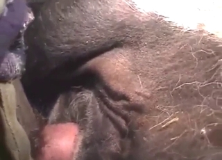 Mare is going to get fucked by a guy's HUGE boner