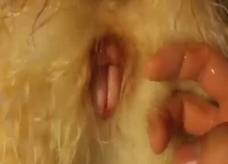 Pleasing scene with a sexy animal getting fingered