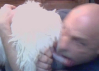 Dog gets to fuck this bald-headed guy's mouth