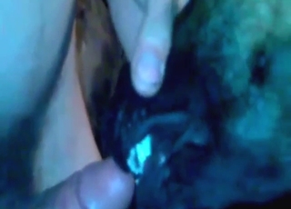 Dude is happy to nut inside a slutty dog up close