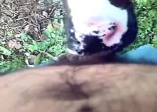 ज़ू XXX में एक सेक्सी जानवर डीपथ्रोटिंग कर रहा है