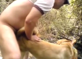 Slacker hátulról fogja megdugni azt az állatot.