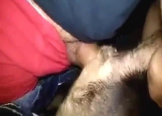 Guy's long cock makes this slutty dog CLIMAX