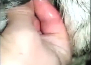 Fingering scene with a sexy beast that climaxes