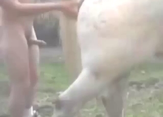 Mare's cunthole is about to be covered forever