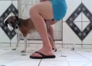 Zoo porn seduction with a sexy animal in HQ