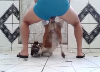 Állatkerti pornó csábítás szexi állattal HQ minőségben