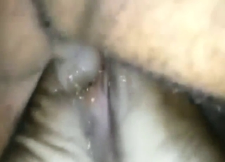 ज़ूफ़ाइल मूवी जिसमें एक सेक्सी जानवर को लड़के ने हिलाया