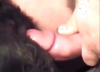 Fat dude violating this dog's pussy