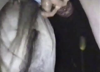 老兄操着一匹湿润的母马