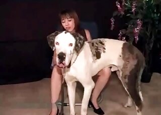 هواة ممارسة الجنس المنزلي مع الحيوانات المدربة