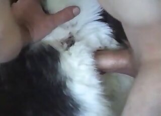 Gorgeous small doggy is getting tons of pleasure