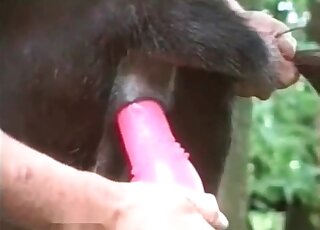 Big pink toy for a tight animal hole