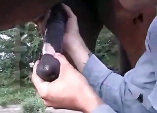 Well-endowed animal having fun with a hung beast